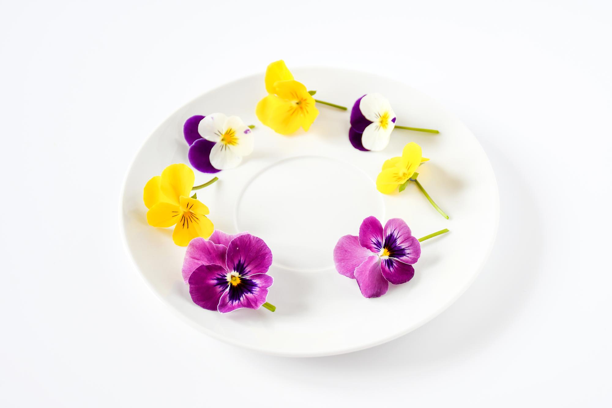 Minimal plated starter with edible flowers